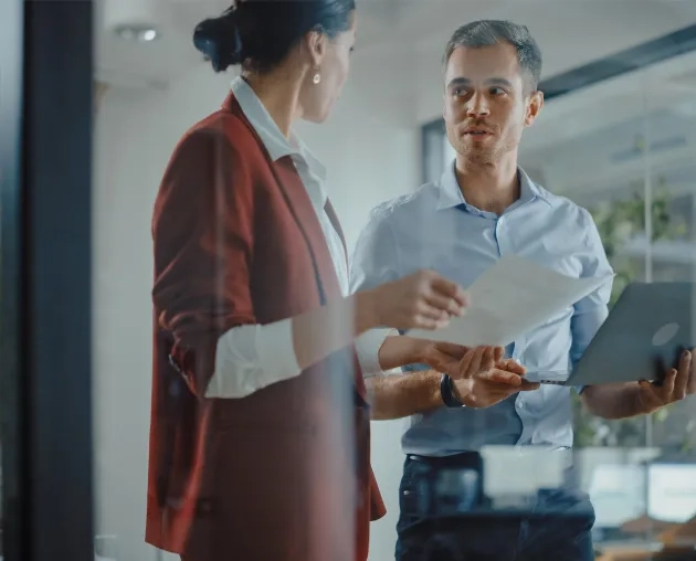 Data Quality & Governance offering